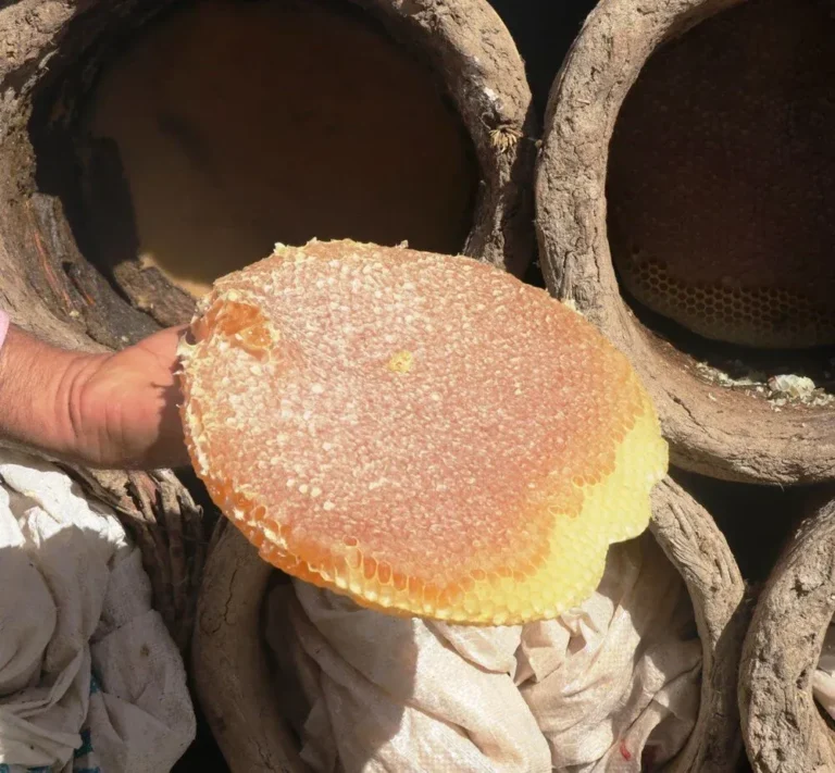bitlis_balı